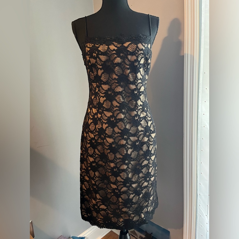 WHBM Sleeveless Lace Sheath